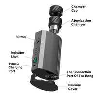 Dabbing Freedom SG100 | Portable Shisha E-Rig